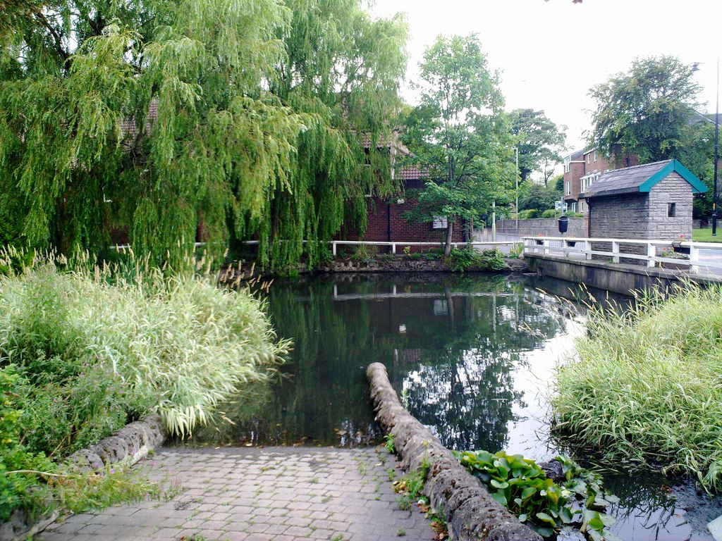 Village pond in Cleadon © Robert Graham cc-by-sa/2.0 :: Geograph ...