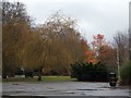 Autumn colour at Guildford Crematorium