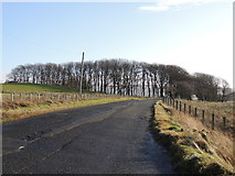NX2596 : Road to the Barr (B734) near Lanes by Billy McCrorie