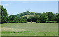 Pasture north of Abermeurig, Ceredigion