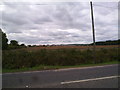 View south from Cleadon Lane