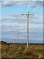 NT3956 : Overhead power lines at Falahill by Walter Baxter