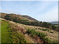 Grassy track below Wee Torry