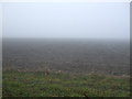 Farmland off Eryholme Lane