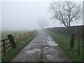 Track to Moor House Farm