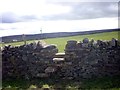 Stile in dry-stone wall