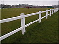 Pitch side fencing