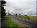 The Avenue, Seaton Sluice