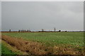 TR0329 : Wet fields on Romney Marsh by Julian P Guffogg