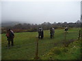 Pony paddocks near Castle Wood, Talywain