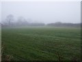 Farmland near Prospect Bungalow