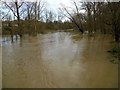 Newbold-River Avon In Flood