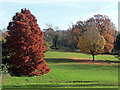 Autumnal park, Norwood Grove (1)