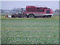 TL3690 : Sugar beet harvesting near Doddington by Richard Humphrey