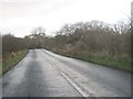 Horse Close Lane up towards Cleveland Gorse Wood