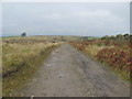 ST1791 : Track on Mynydd y Grug by John Light