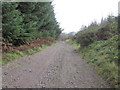 ST1790 : Track heading down from Mynydd y Grug by John Light