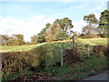 Entrance to Public Footpath to Norton