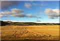 Fields from the railway line