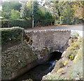 Blaen Bran flows under Upper Cwmbran Road, Cwmbran