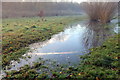 Mist Rising in Whitewebbs Park, Enfield