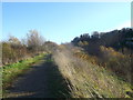 Path around Cliffside Gorge, Chafford Hundred