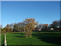 Green near Lodge Road, Chafford Hundred