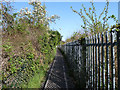 Path by the railway, Upminster