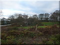 The decaying Mawley Oak near Cleobury Mortimer