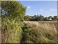 Footpath by Hatton Wood