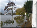 Flooding along the riverfront at Strand-on-the-Green