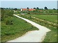 Path towards Albyns Farm