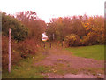 Line of disused railway, Workington