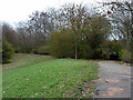 A way into Beckton District Park