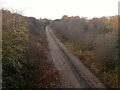 Disused Leamside line near High Shincliffe, looking north