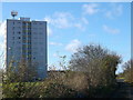 Long Lane towards Little Thurrock