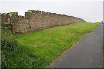 NY0337 : Wall beside coastal path north of the Battery by Roger Templeman
