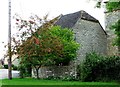 Rowan tree, Stanford in the Vale, Oxfordshire