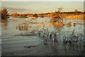 Girton floods