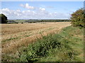 A field and an inviting sky