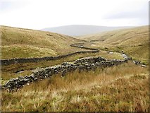 NY6749 : Sheepfold at the confluence of Smallcleugh Burn and Thornhope Burn by Mike Quinn