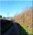 Electricity lines over Ty Coch Lane, Llantarnam