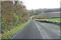 Belmore Lane beside Long Wood