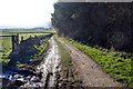 Track to Moorside Farm