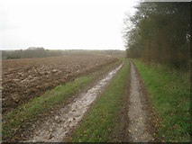 SU6055 : Path/track to Rookery Farm by Mr Ignavy