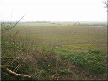 SU6055 : Farmland south of Monk Sherborne by ad acta