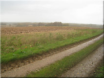 SU6055 : Track to Rookery Farm by Mr Ignavy