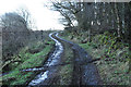 Farm road to White Cairn