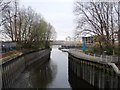 Piled banks of the River Wandle / Bell Lane Creek