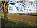 Farmland off Old Malton Road